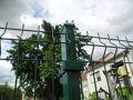 Stĺpik 60/40 PVC zelená, 280cm
