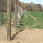 Uzlové pletivo, 200(15/19/2x2,8) - 50m